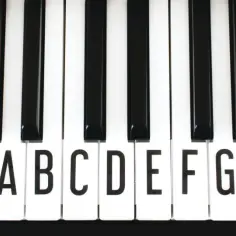 Jak długo na Wawelu nuty - znajdź idealne nuty na keyboard